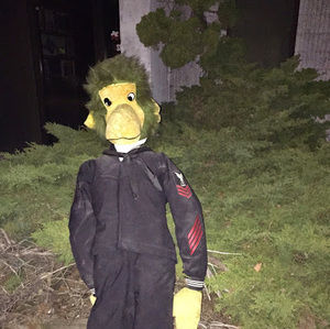 Meet your Posher, Kerry